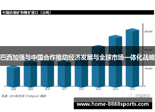 巴西加强与中国合作推动经济发展与全球市场一体化战略